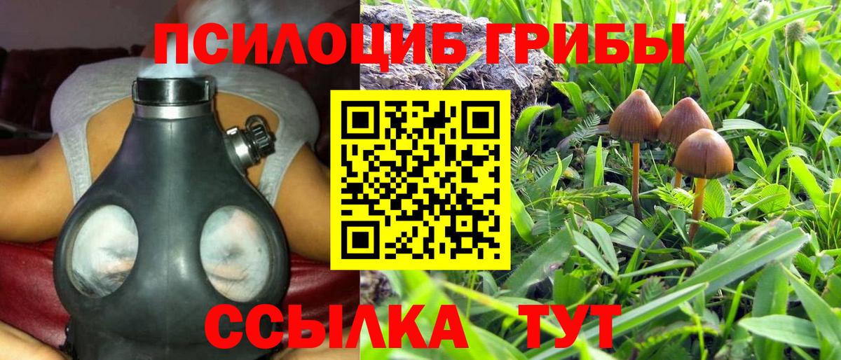 Псилоцибиновые грибы Psilocybine cubensis Урюпинск