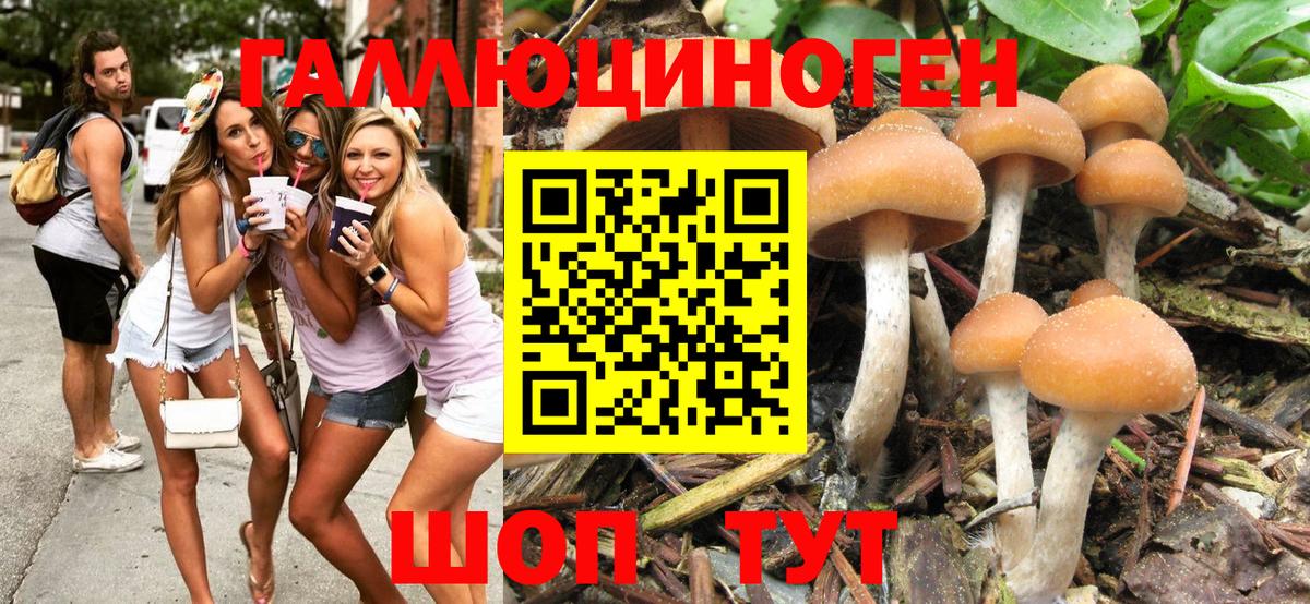 Псилоцибиновые грибы мицелий  Урюпинск 